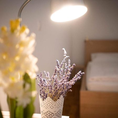 Free Parking! Linden Apartment, Ac, Smart Tv, Wifi بودابست المظهر الخارجي الصورة